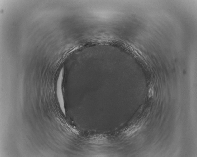 X0000088591156200706011130