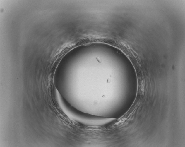 X0000088591157200706011130