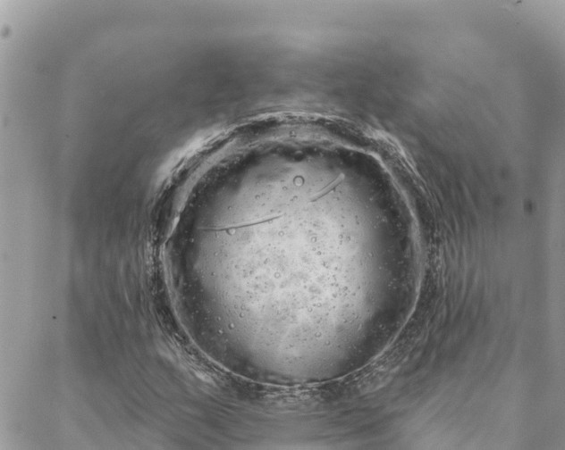 X0000088591159200706011130