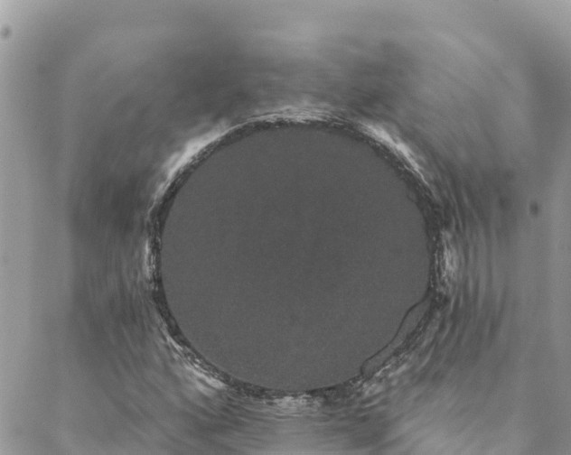 X0000088591160200706011130