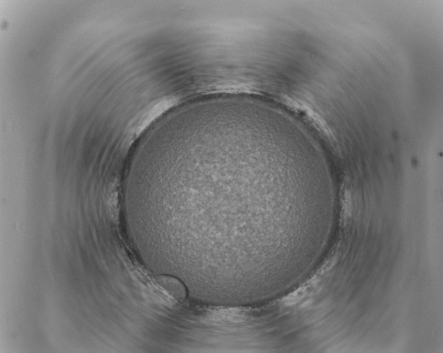 X0000088591162200706011130