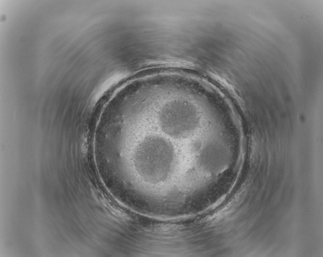 X0000088591163200706011130