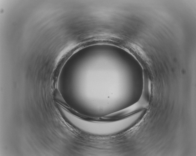 X0000088591164200706011130