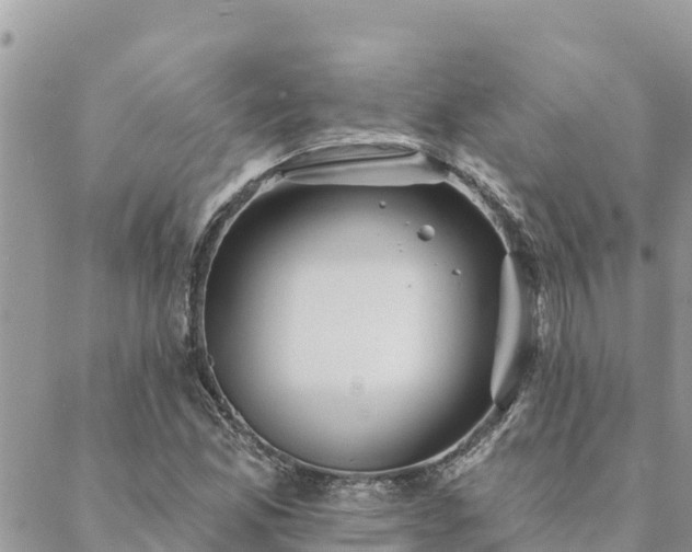 X0000088591165200706011130