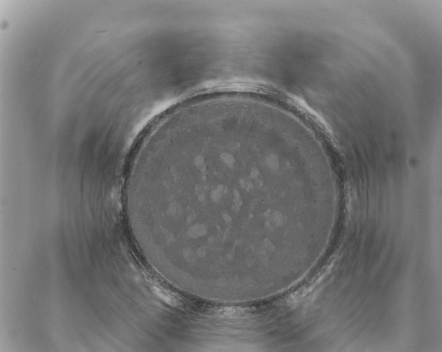 X0000088591166200706011130