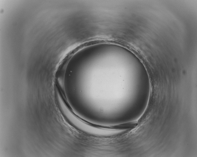 X0000088591168200706011130