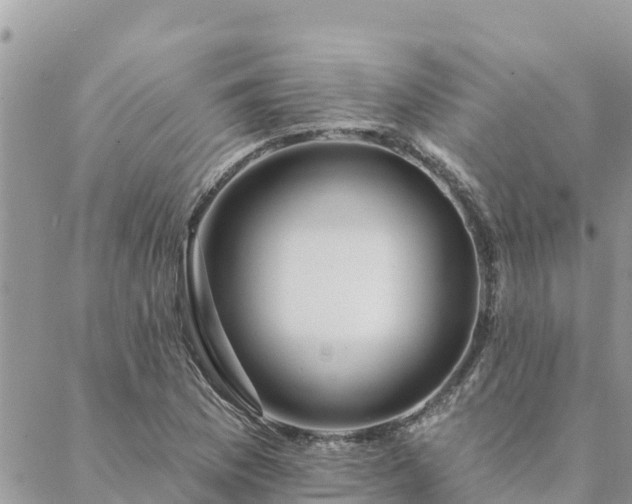 X0000088591169200706011130