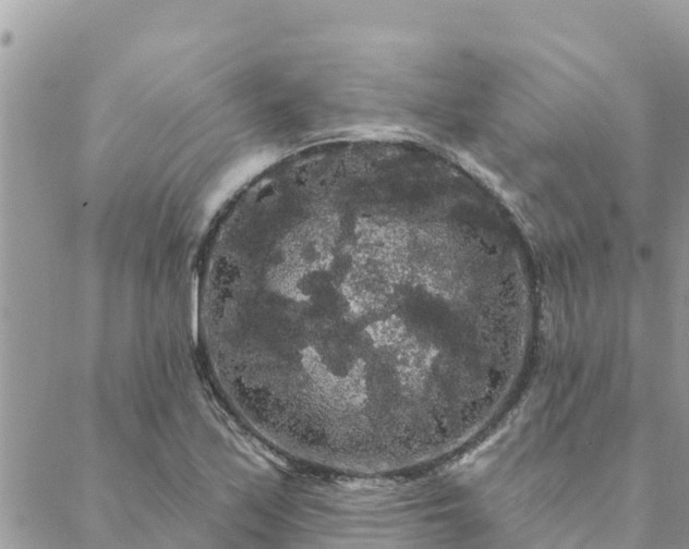 X0000088591171200706011130