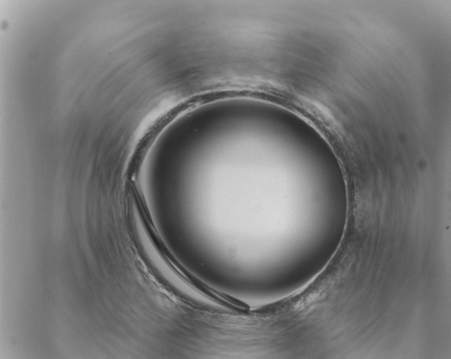 X0000088591172200706011130