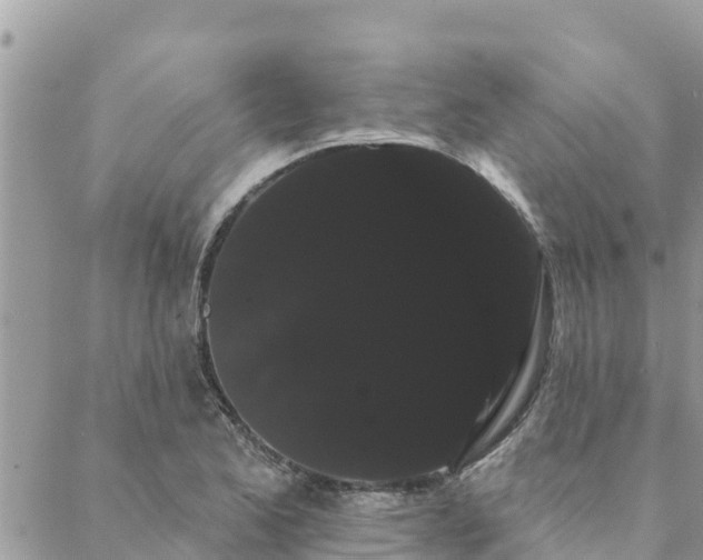 X0000088591173200706011130