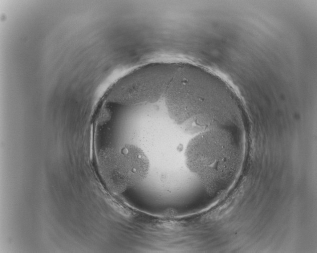 X0000088591175200706011130