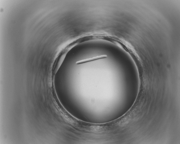 X0000088591176200706011130