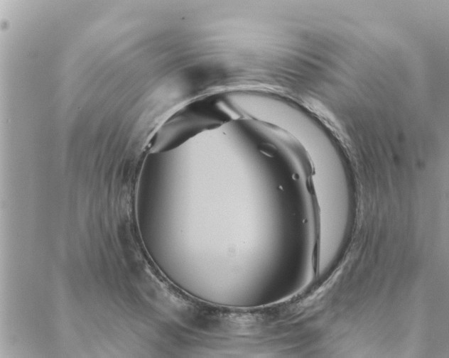 X0000088591177200706011130