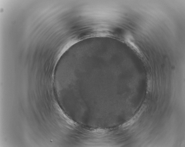 X0000088591178200706011130