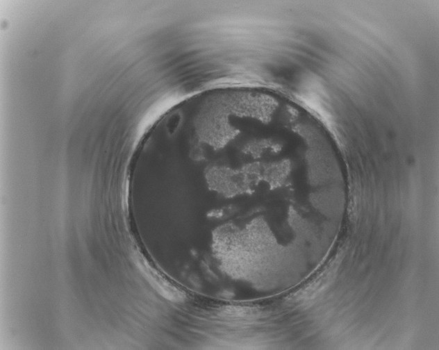 X0000088591179200706011130