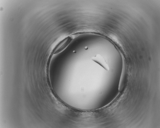 X0000088591181200706011130