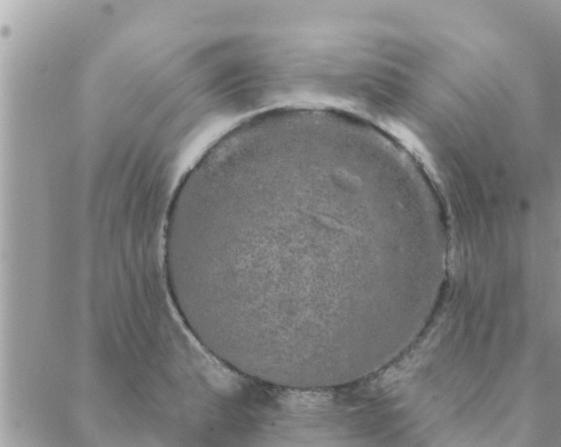 X0000088591183200706011130