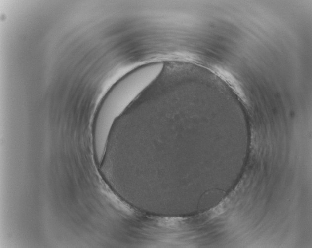 X0000088591184200706011130