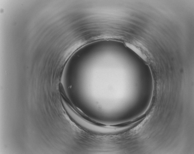 X0000088591185200706011130