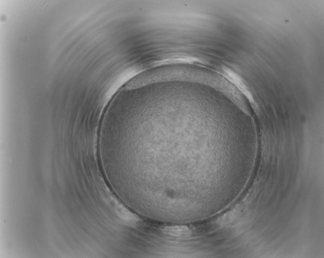 X0000088591186200706011130