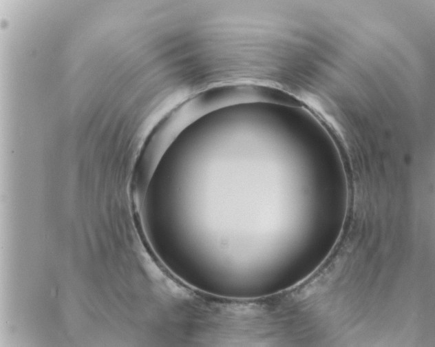 X0000088591189200706011130