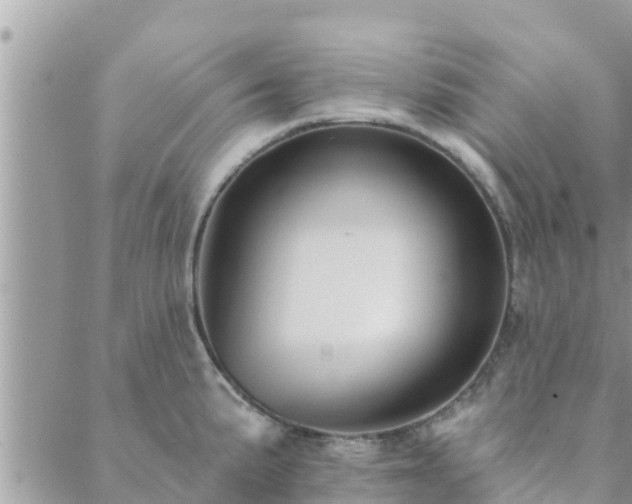 X0000088591191200706011130