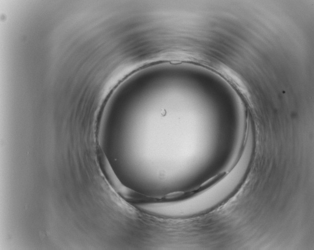 X0000088591192200706011130