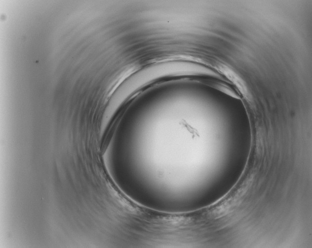 X0000088591193200706011130