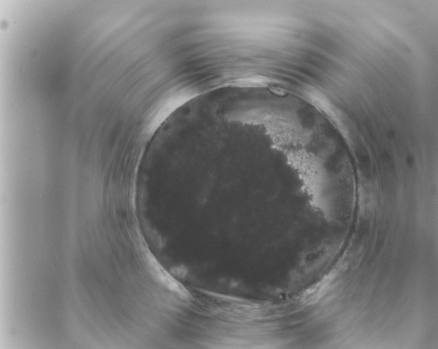 X0000088591194200706011130