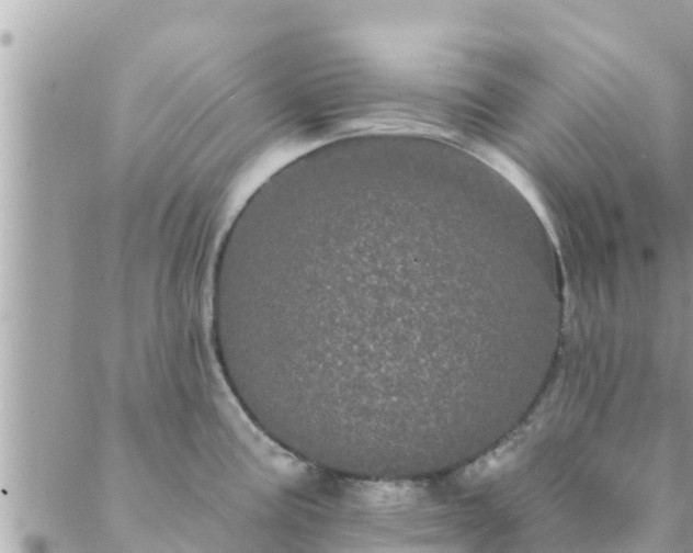 X0000088591195200706011130