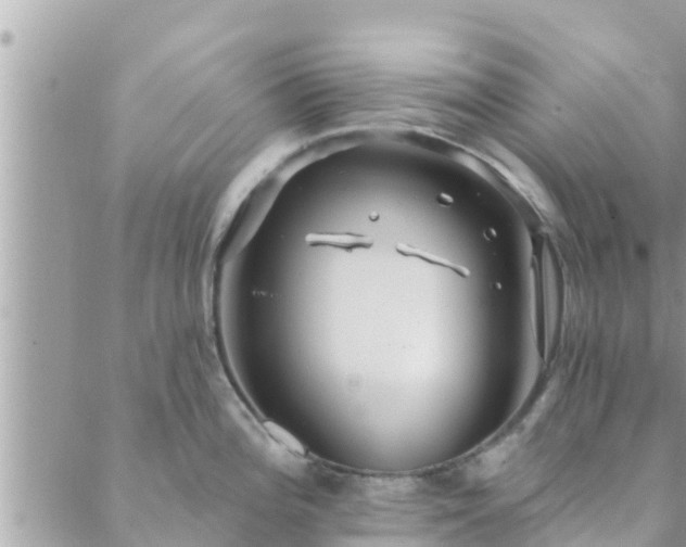 X0000088591196200706011130