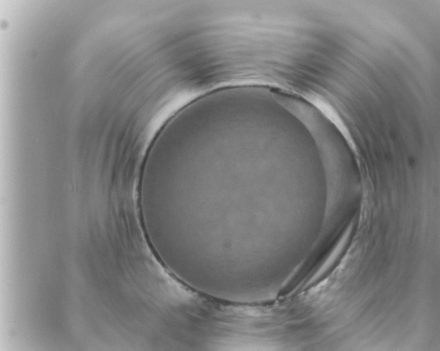 X0000088591197200706011130