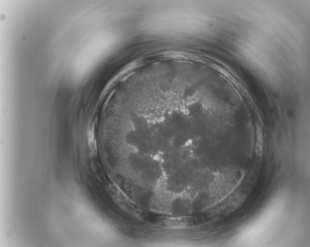 X0000088591198200706011130