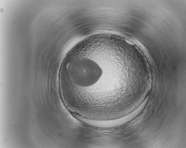 X0000088591199200706011130