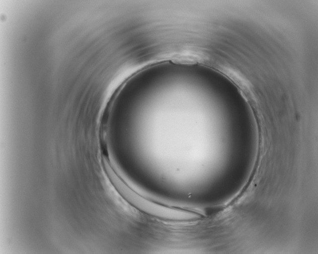 X0000088591200200706011130