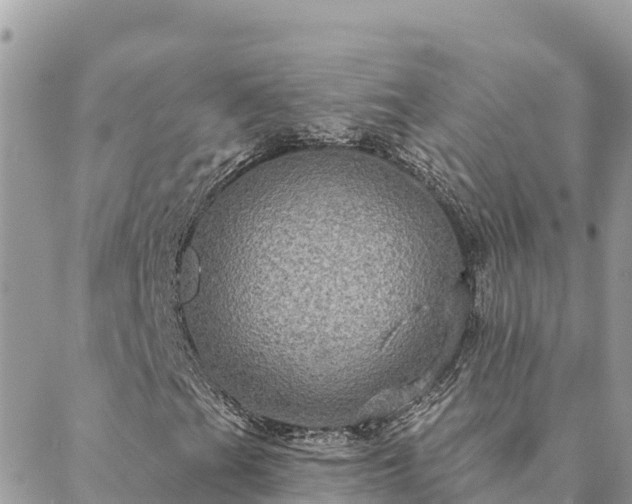 X0000088591201200706011129