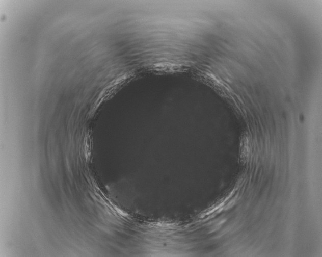 X0000088591202200706011129