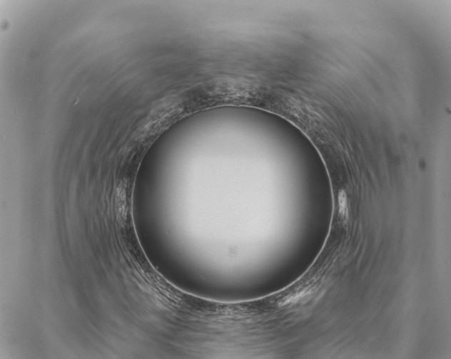 X0000088591203200706011129