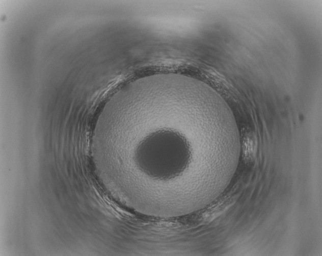 X0000088591204200706011129