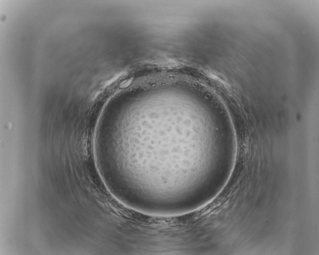 X0000088591205200706011129