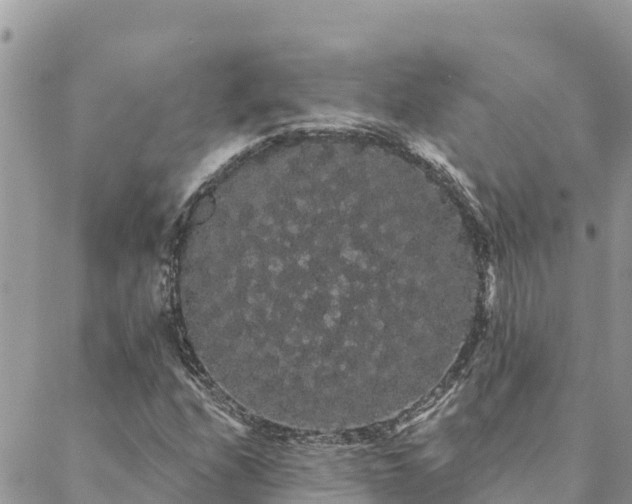 X0000088591208200706011129