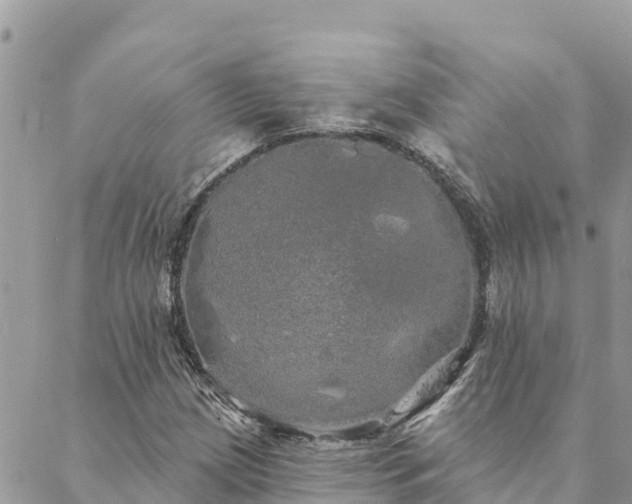 X0000088591209200706011129