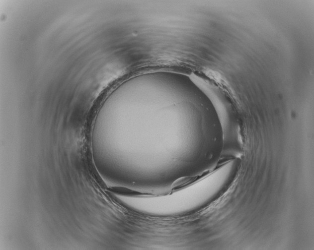 X0000088591210200706011129