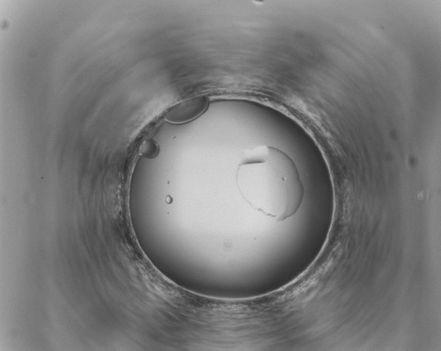 X0000088591211200706011129