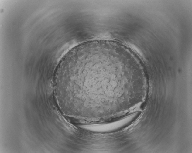 X0000088591212200706011129