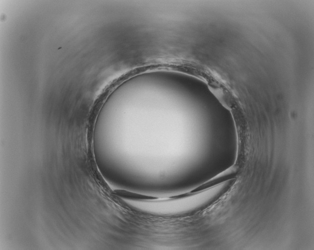 X0000088591214200706011129