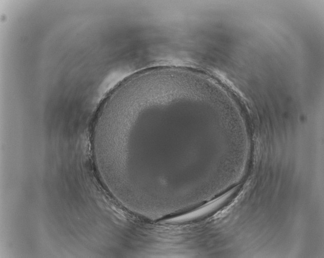 X0000088591215200706011129