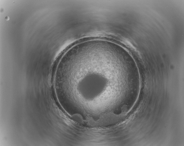 X0000088591216200706011129