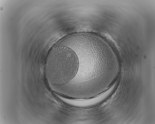 X0000088591217200706011129