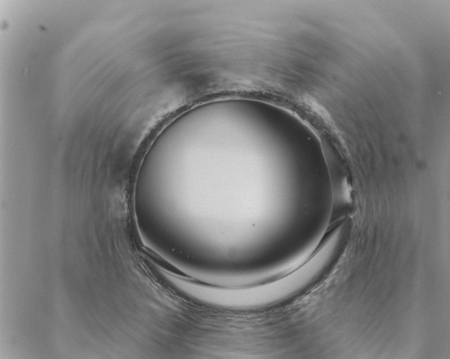 X0000088591218200706011129